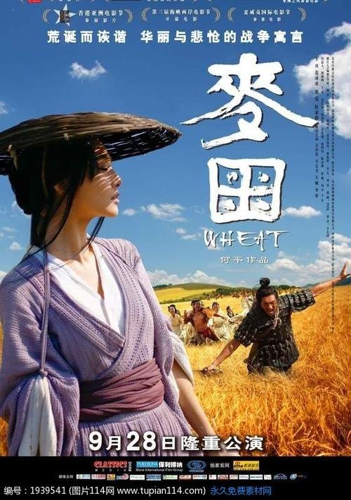 中国银行流水账单哪里可以做假的仿制假西班牙护照电子版